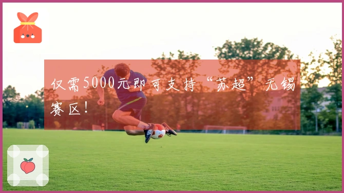 仅需5000元即可支持“苏超”无锡赛区！