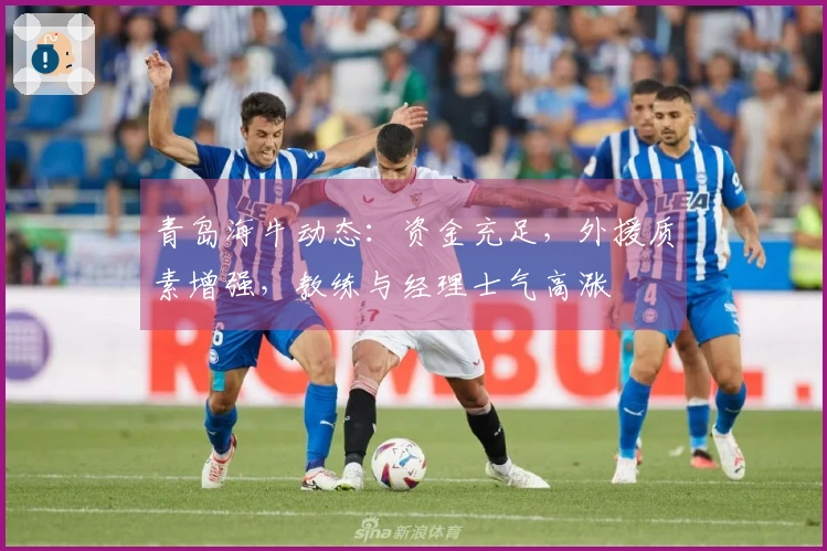 青岛海牛动态：资金充足，外援质素增强，教练与经理士气高涨