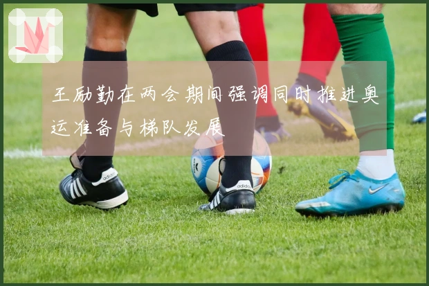 王励勤在两会期间强调同时推进奥运准备与梯队发展